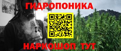 крисы Малгобек