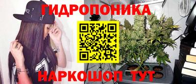 PSILOCYBIN Мариинск