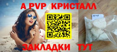 крисы Малгобек
