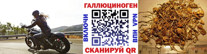 Галлюциногенные грибы ЛСД  ОМГ ОМГ рабочий сайт  Череповец 