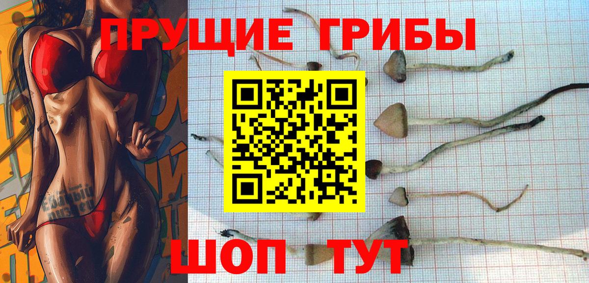 Псилоцибиновые грибы MAGIC MUSHROOMS Череповец