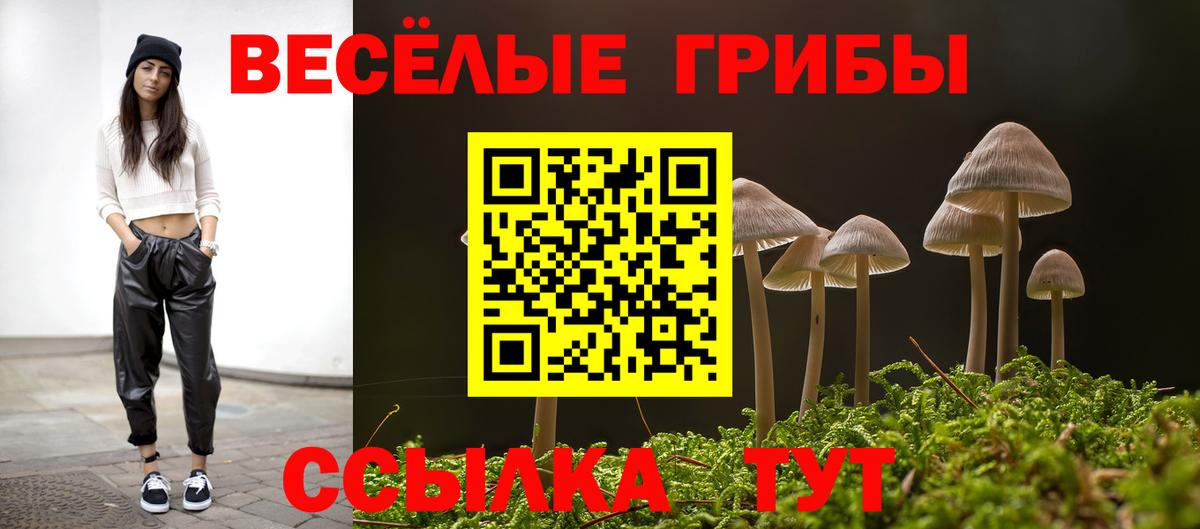 Галлюциногенные грибы Magic Shrooms  Вход с VPN  Череповец 